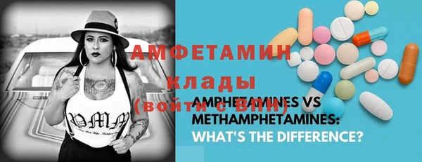 бошки Дубна