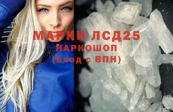 spice Аркадак