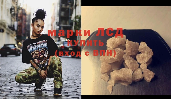 spice Аркадак