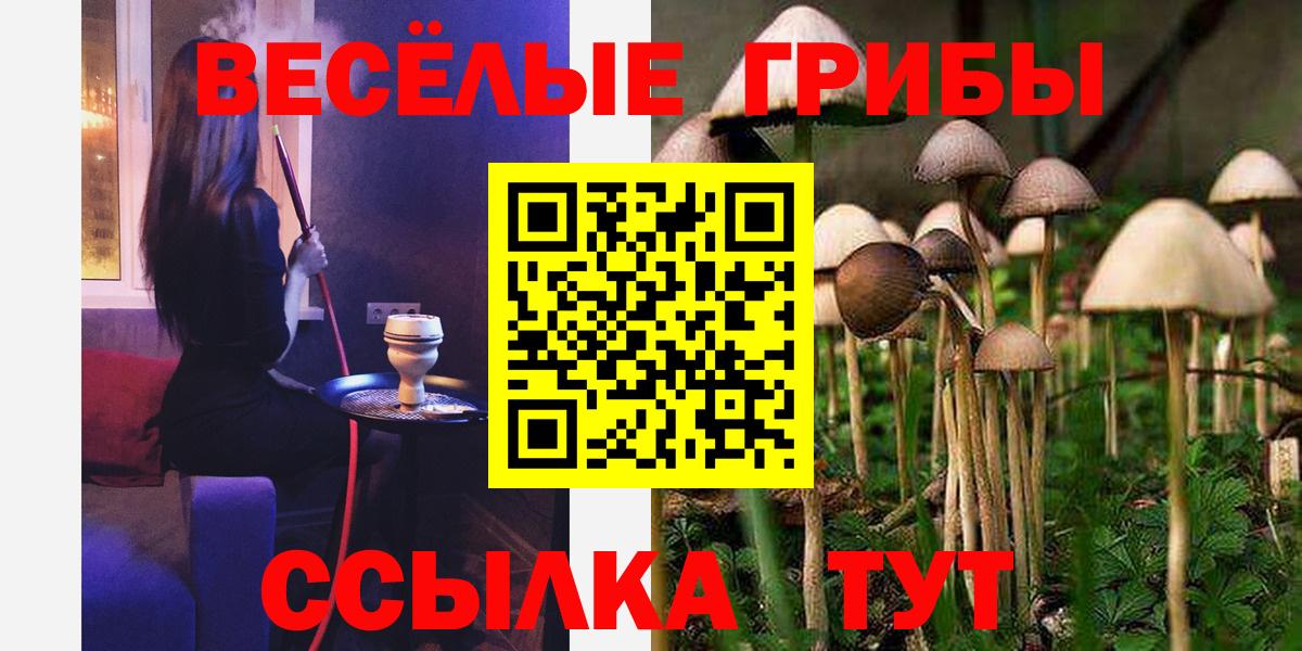 купить  сайты  Вход с VPN  Псилоцибиновые грибы MAGIC MUSHROOMS  Дмитров  Псилоцибиновые грибы прущие грибы 